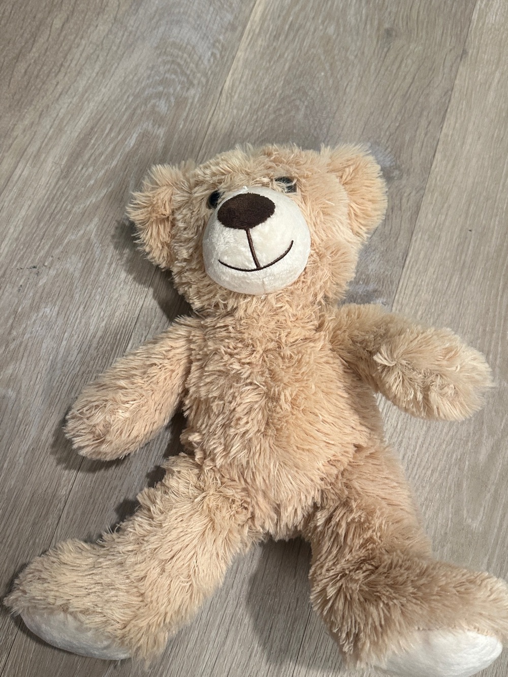 Fluffy soft teddy bear